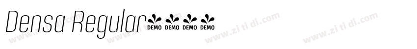 Densa Regular字体转换